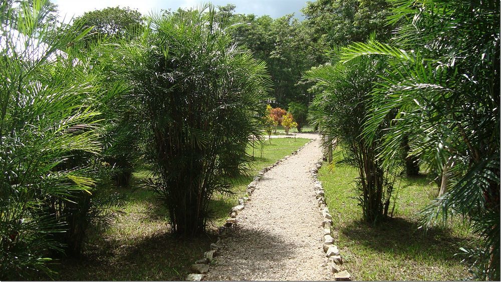 Maya Zac Peten Jungle Lodge Ел Ремате Екстериор снимка
