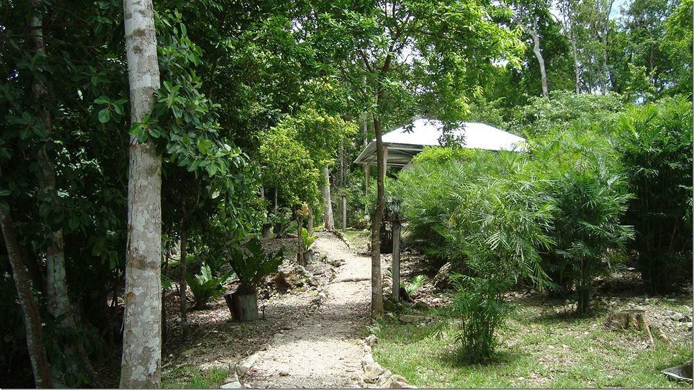 Maya Zac Peten Jungle Lodge Ел Ремате Екстериор снимка