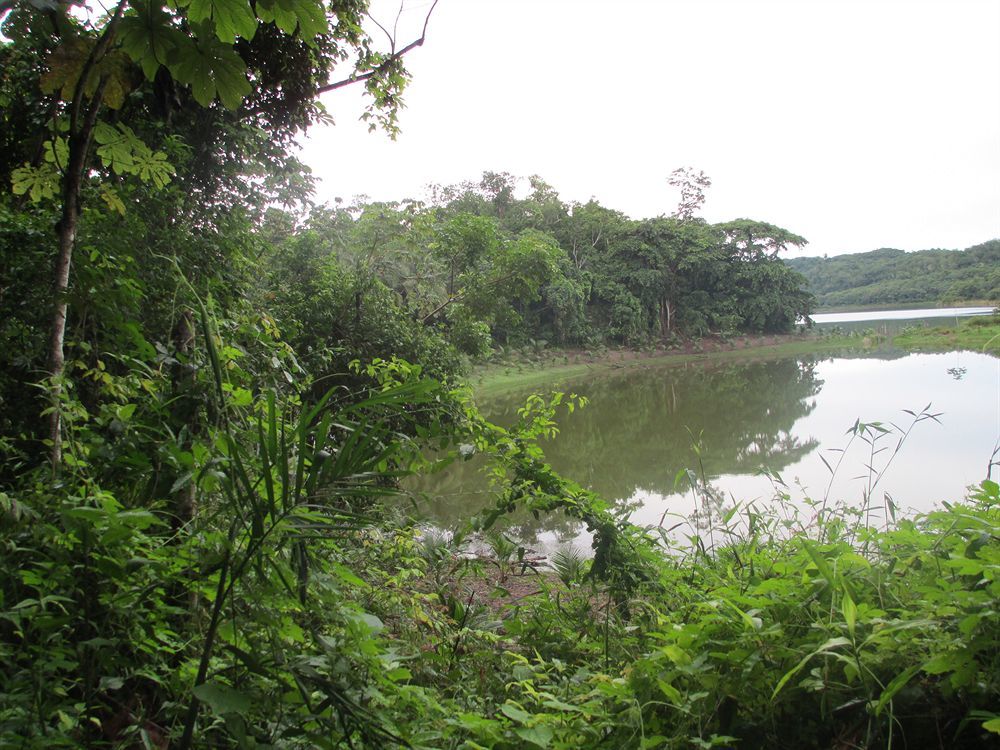 Maya Zac Peten Jungle Lodge Ел Ремате Екстериор снимка