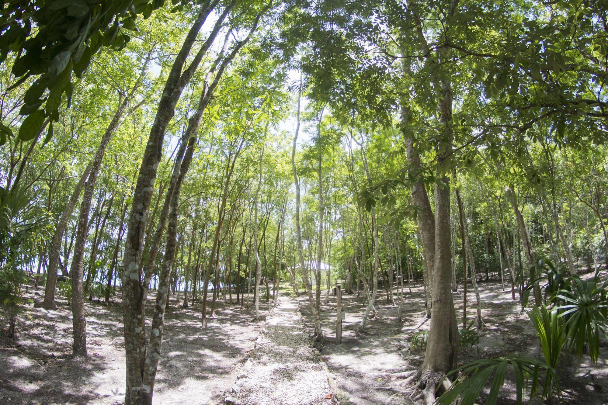 Maya Zac Peten Jungle Lodge Ел Ремате Екстериор снимка